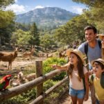 découvrez le parc animalier du mont faron, un lieu magique où les familles vivent des sorties inoubliables au cœur de la nature et de la faune sauvage.